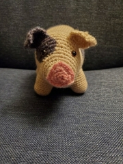 Spotty-Pig-01