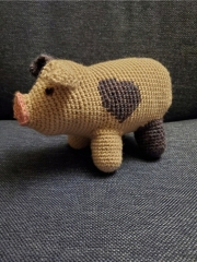 Spotty-Pig-02